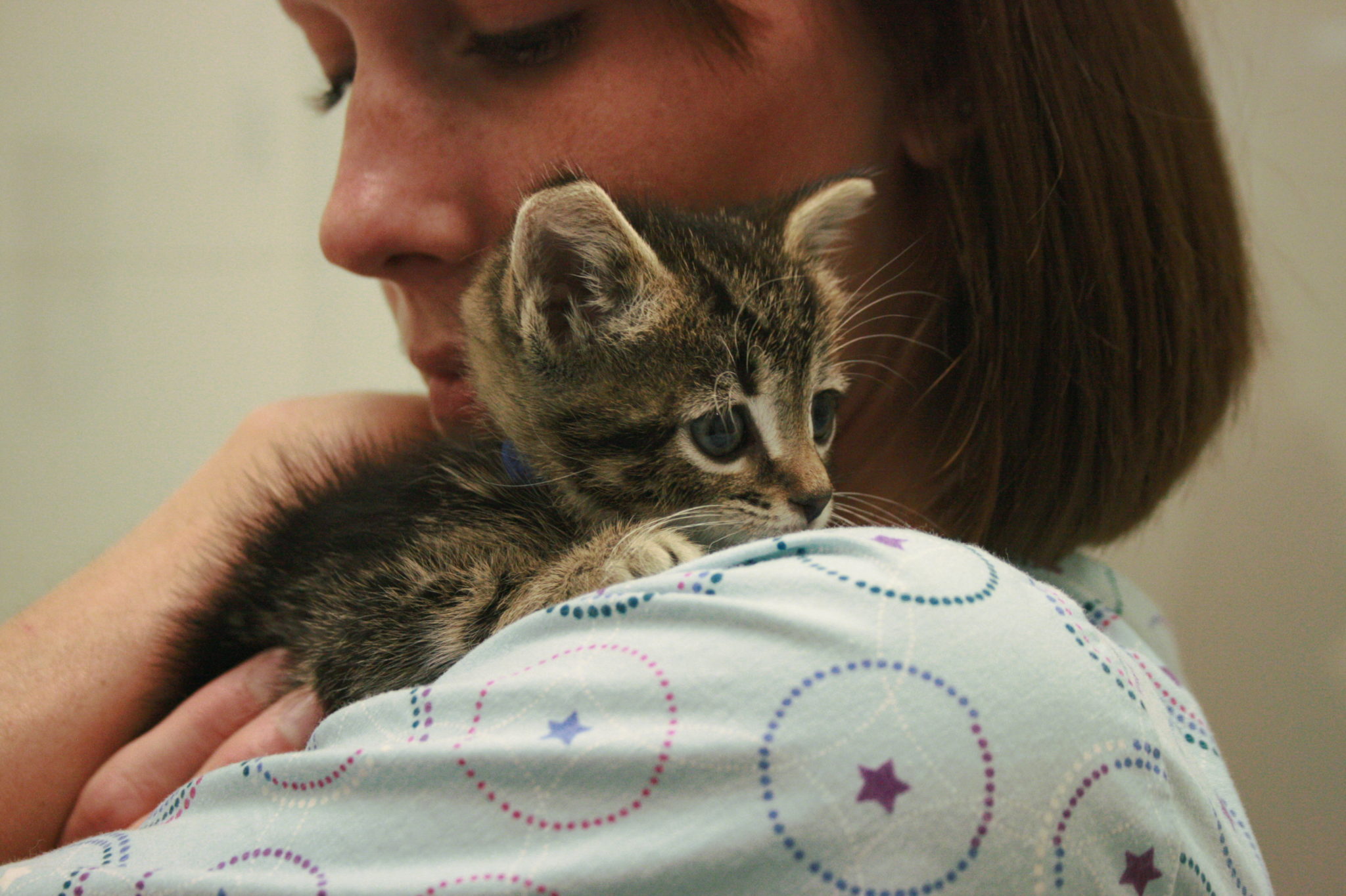 Animal Shelters   Adopt A Pet   Michigan Humane