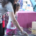 Meet Your Best Friend at the Zoo