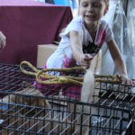 Meet Your Best Friend at the Zoo