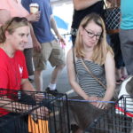 Meet Your Best Friend at the Zoo