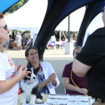 Meet Your Best Friend at the Zoo