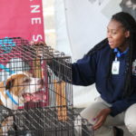 Meet Your Best Friend at the Zoo