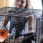 Meet Your Best Friend at the Zoo