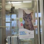 Bissell Pet Foundation's Empty the Shelters at Michigan Humane Society