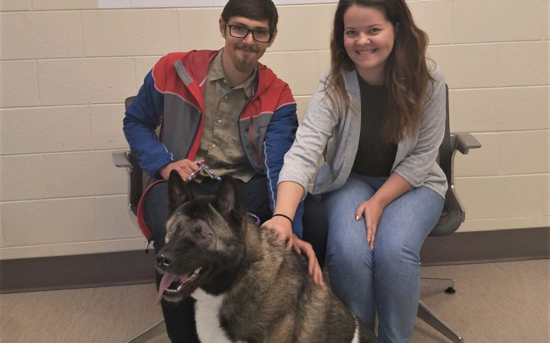 Miyoshi, a blind dog, was adopted at the Michigan Humane Society.