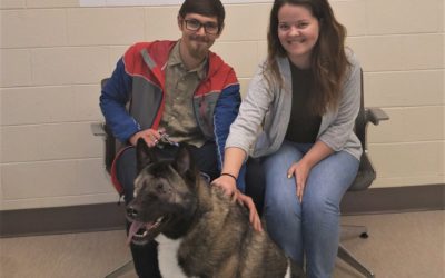 What You Need to Know About $25 Pet Adoptions