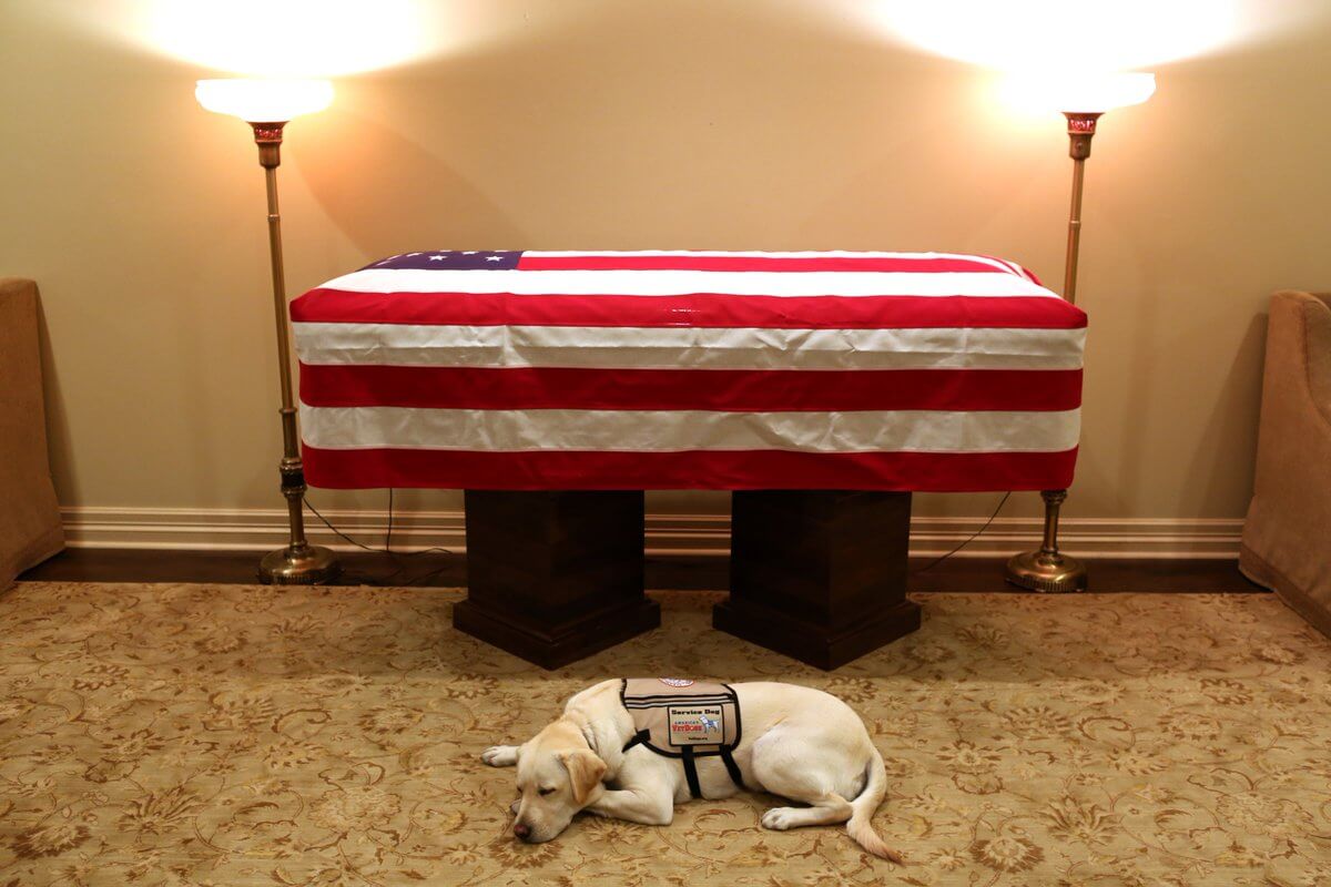 George H.W. Bush’s Service Dog Laid Next to Casket
