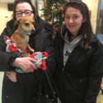 Bissell Pet Foundation's Empty the Shelters at Michigan Humane Society