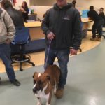 Bissell Pet Foundation's Empty the Shelters at Michigan Humane Society