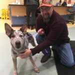 Bissell Pet Foundation's Empty the Shelters at Michigan Humane Society