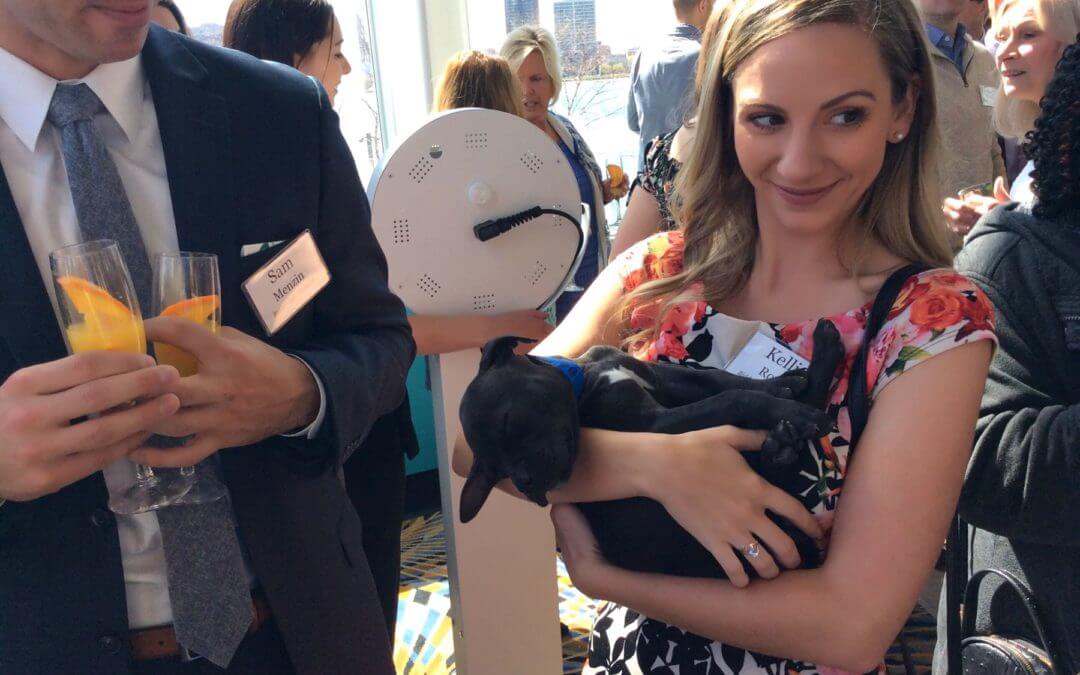 [Photos] 30th Annual Purrfect Bow Wow Brunch