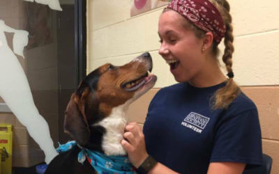 MHS CEO: We Must be a Socially Conscious Animal Community