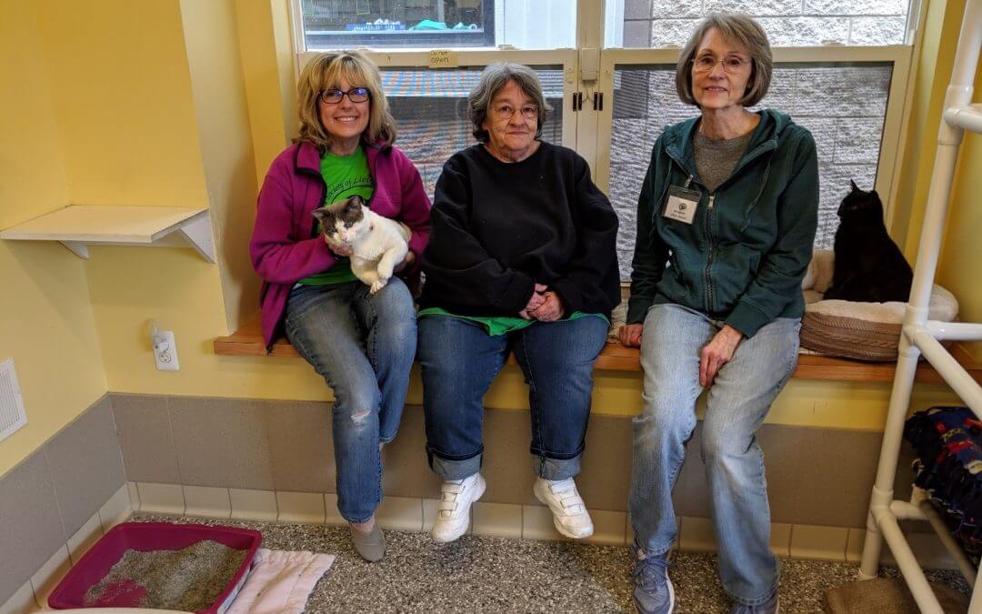 The Kibble: The Three Meowsketeers