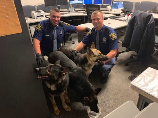 German Shepherds found by Michigan State Police.