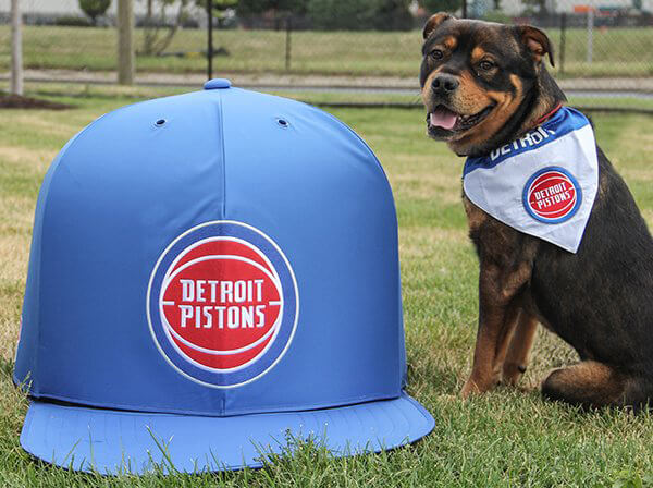 Dog wearing a Detroit Pistons bandanna.