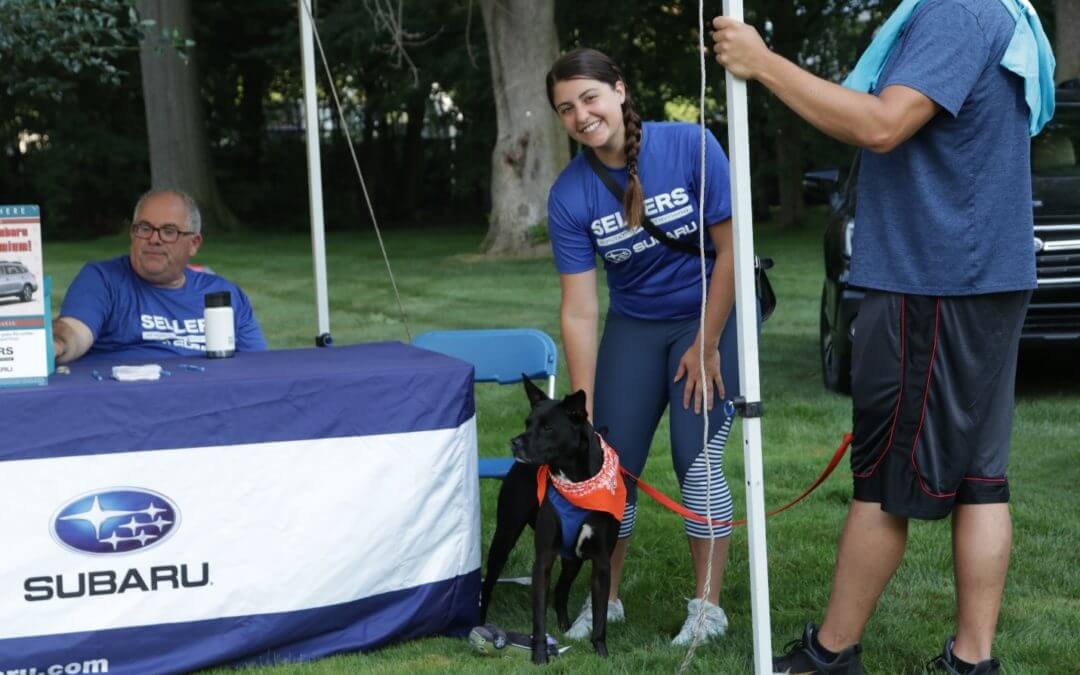 Corporate Spotlight: Sellers Subaru