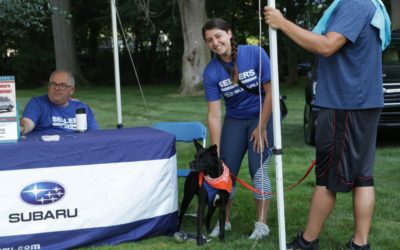 Corporate Spotlight: Sellers Subaru