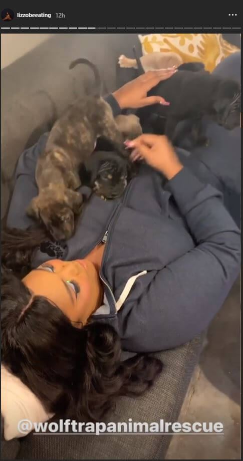 Lizzo with puppies on her Instagram story.