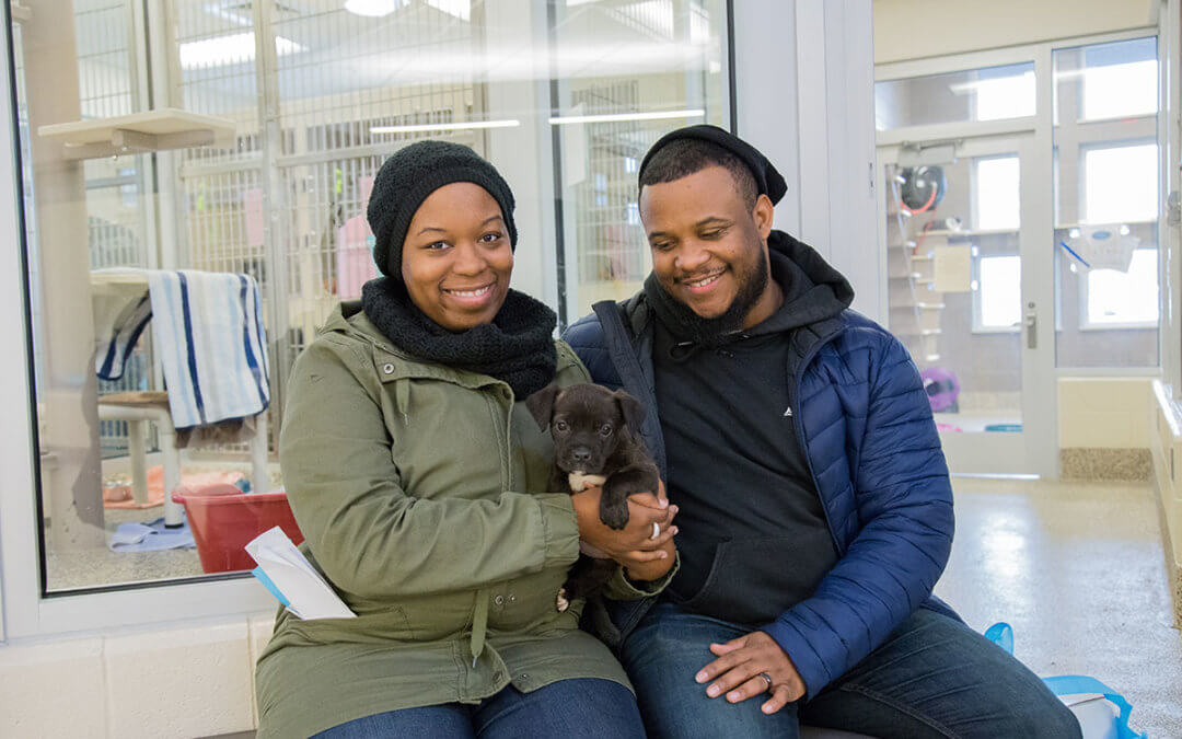 Couple adopts a puppy at the Michigan Humane Society.