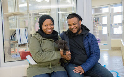 Adopt a Pet for $25 During Empty the Shelters December 13-14
