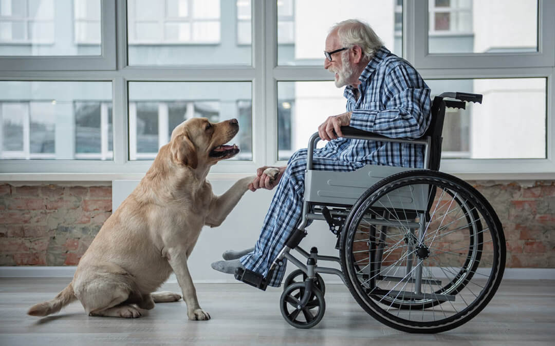 Old man in wheelchair comforted by dog.
