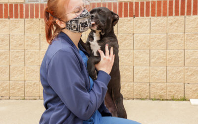 Proposed Michigan Bill Banning Laws Targeting Dog Breeds Passes House