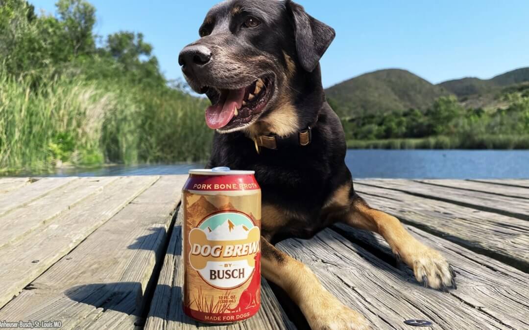 Busch Beer Dog Brew