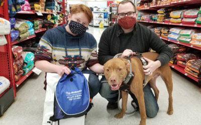 Sellers Subaru and ASPCA Help Find Animals New Families