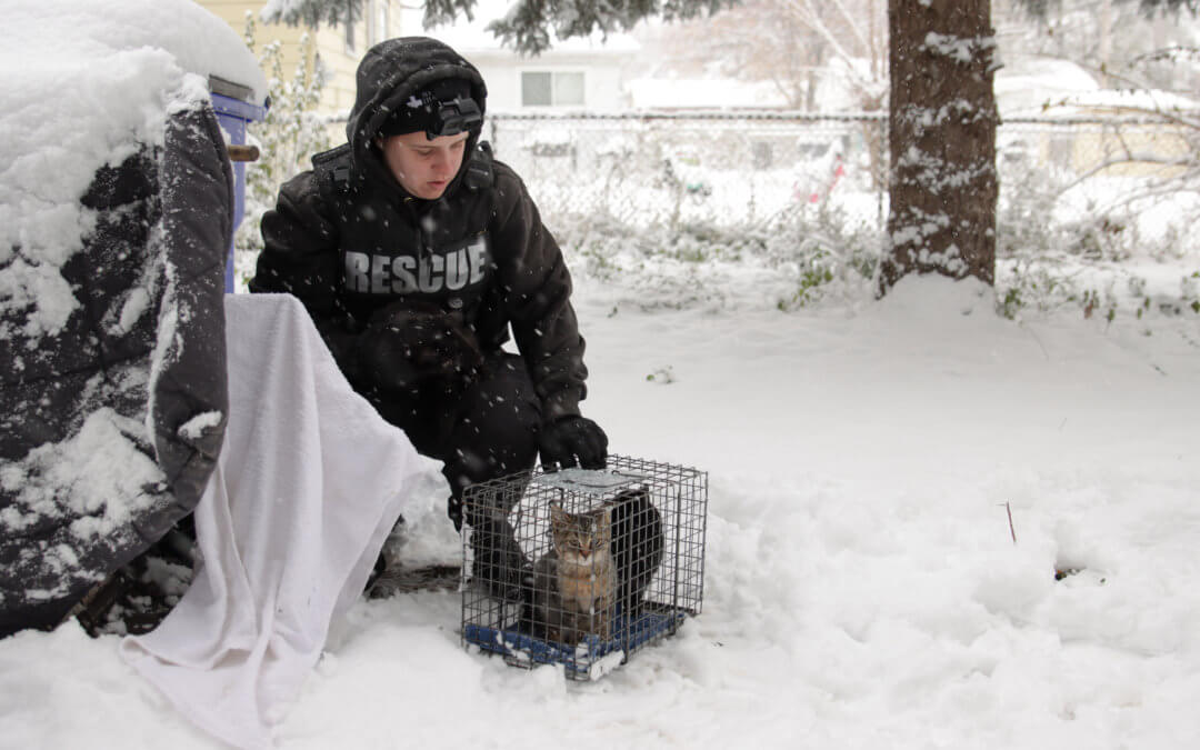 Michigan Humane rescue team during the winter.