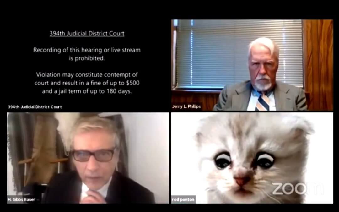 Lawyer Hilariously Stuck in Cat Filter Mode During Zoom Court Hearing