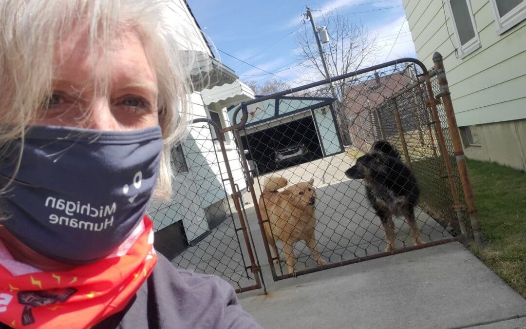 Woman helping dogs in Detroit's Warrendale neighborhood.