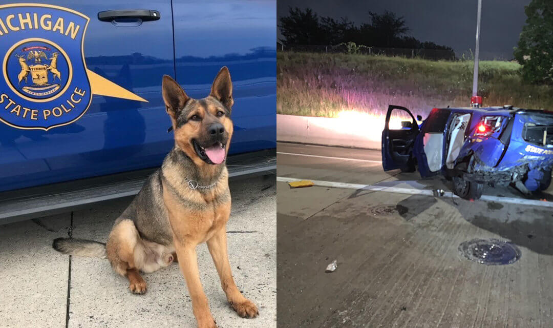State Trooper K9 Killed in Crash With Suspected Drunk Driver