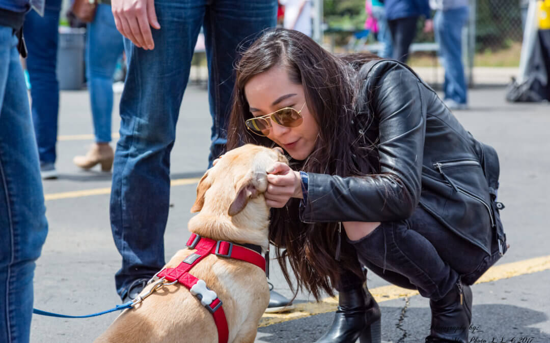 Woman meeting dog at Meet Your Best Friend event