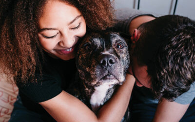 October 23 is National Pit Bull Awareness Day