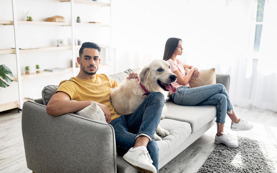 Couple fighting while dog sits on couch