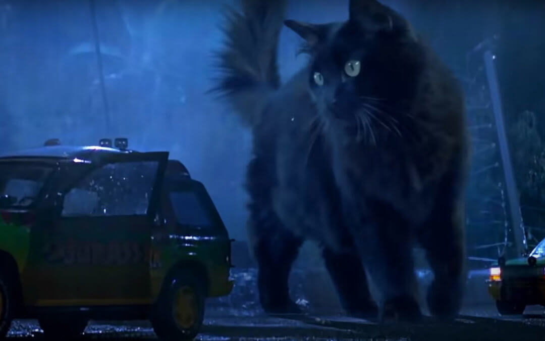 Watch the T-Rex scene from Jurassic Park but with a cat instead