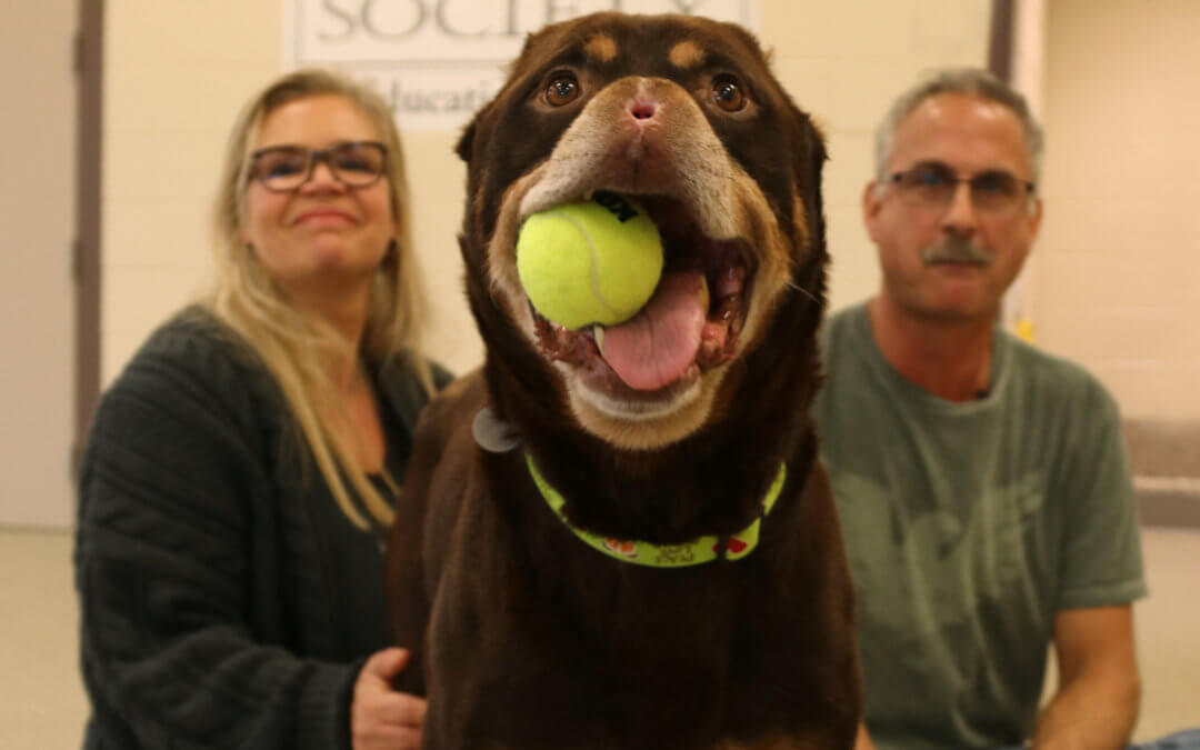 Remembering Baron: A Story of Resilience