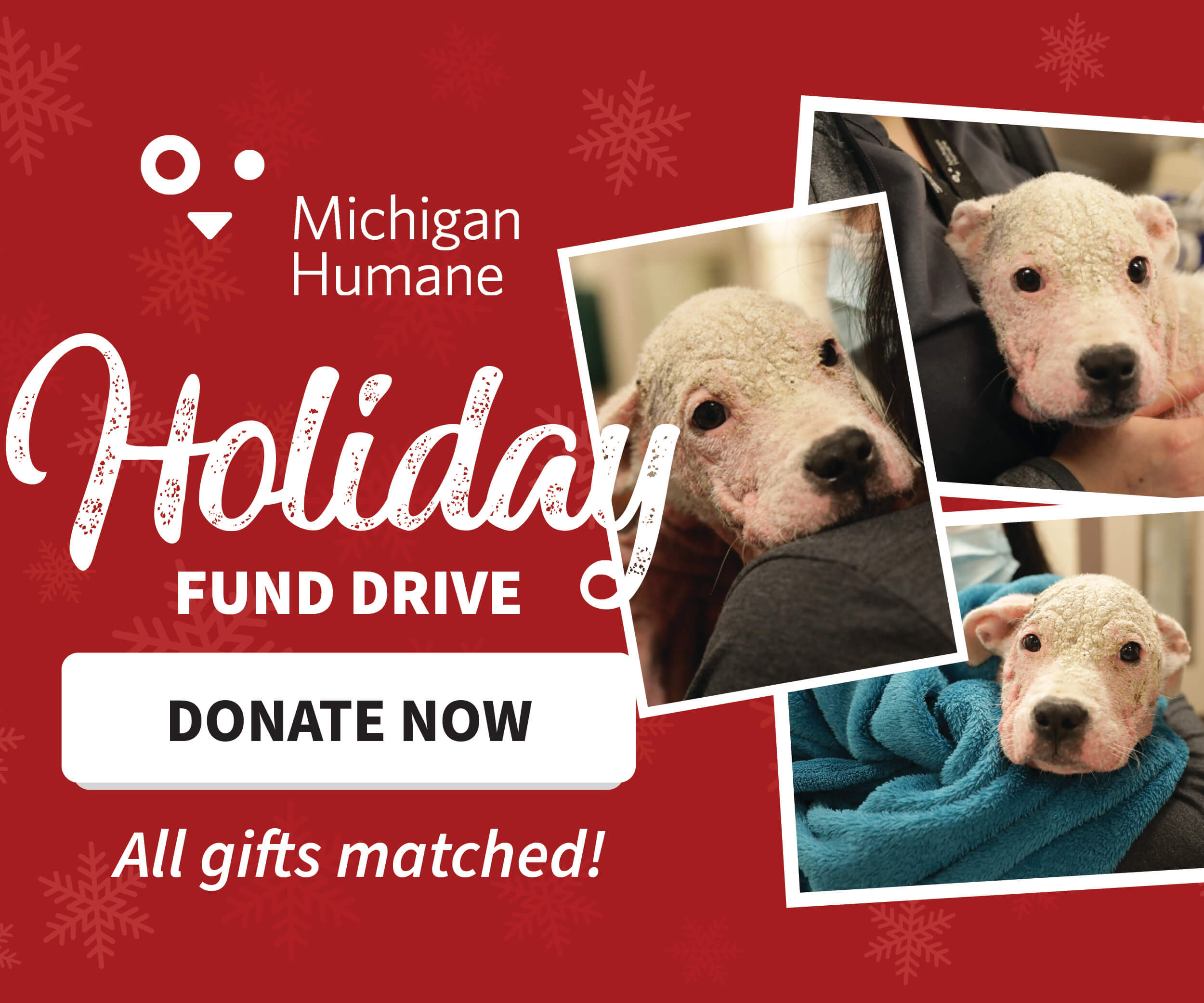 Michigan Humane Holiday Fund Drive 2021