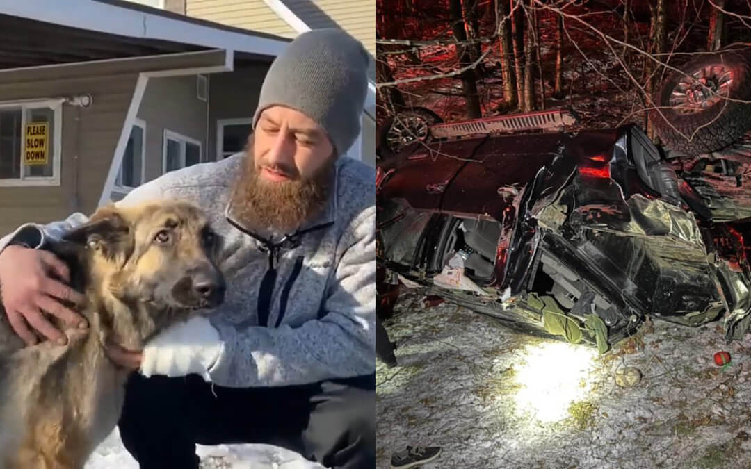 Hero dog Tinsley helps save owner’s life by leading police to crash site