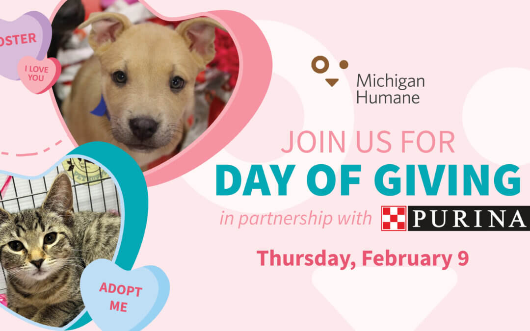 2023 Michigan Humane Day of Giving Telethon In Partnership With Purina