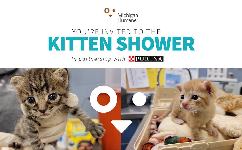2022 Michigan Humane Kitten Shower In Partnership With Purina