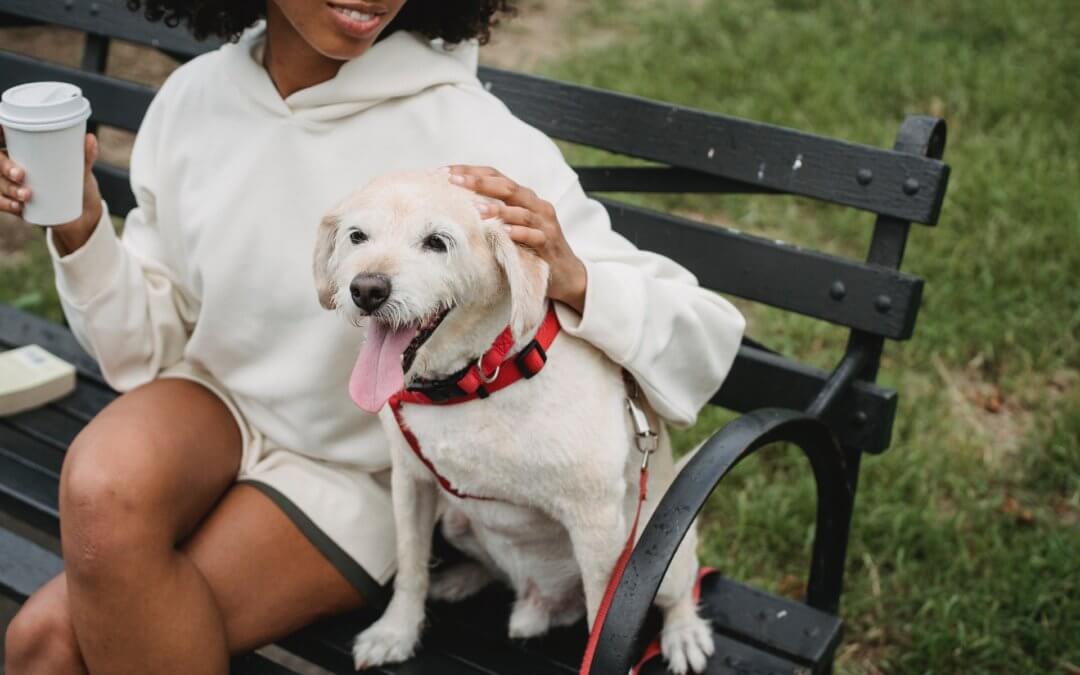 Importance of local laws to animal welfare