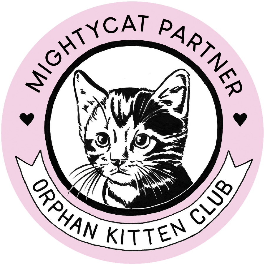 Orphan Kitten Club