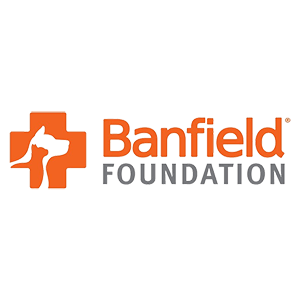 Banfield Foundation Square Transparent Banfield Foundation