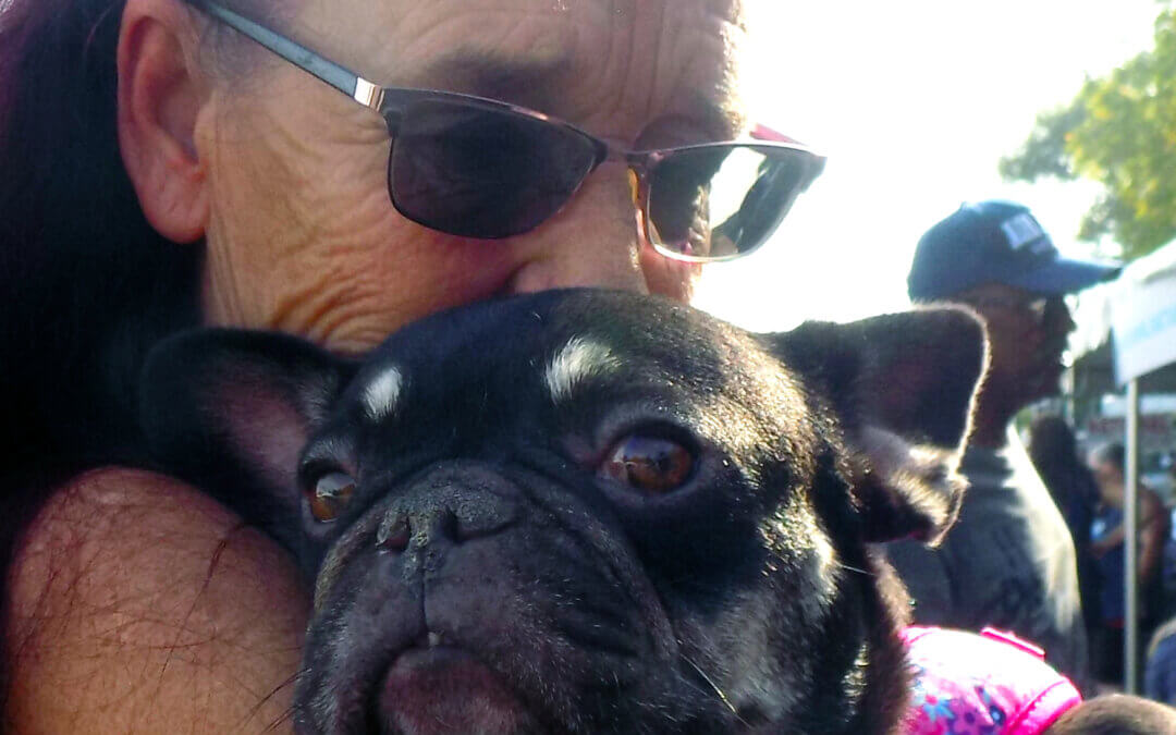 Companion Animals for Humane Support