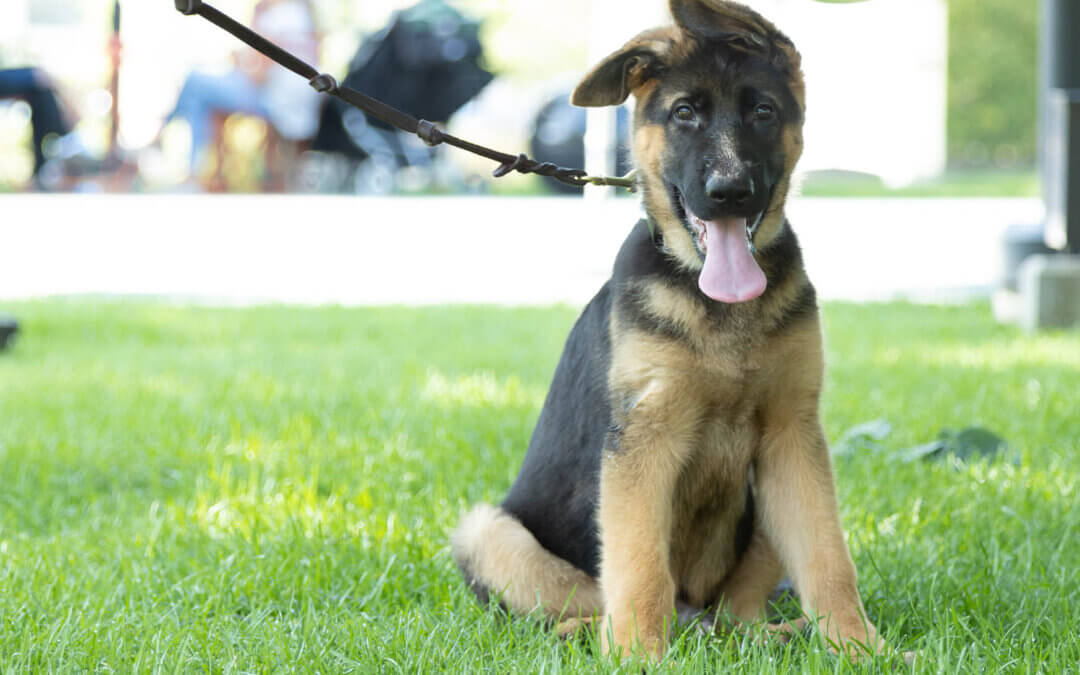 Third Party Fundraising