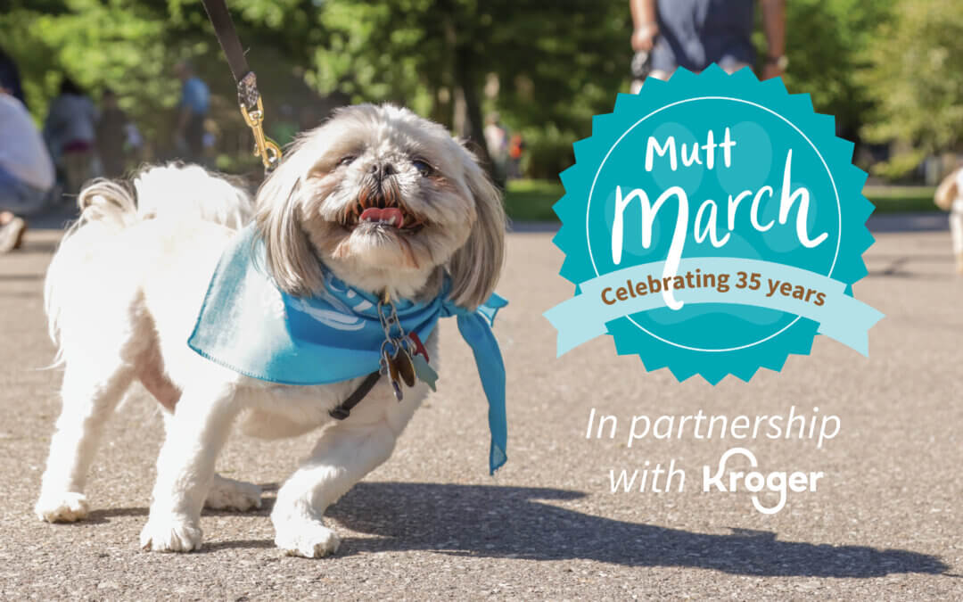 Michigan Humane’s 35th Annual Mutt March