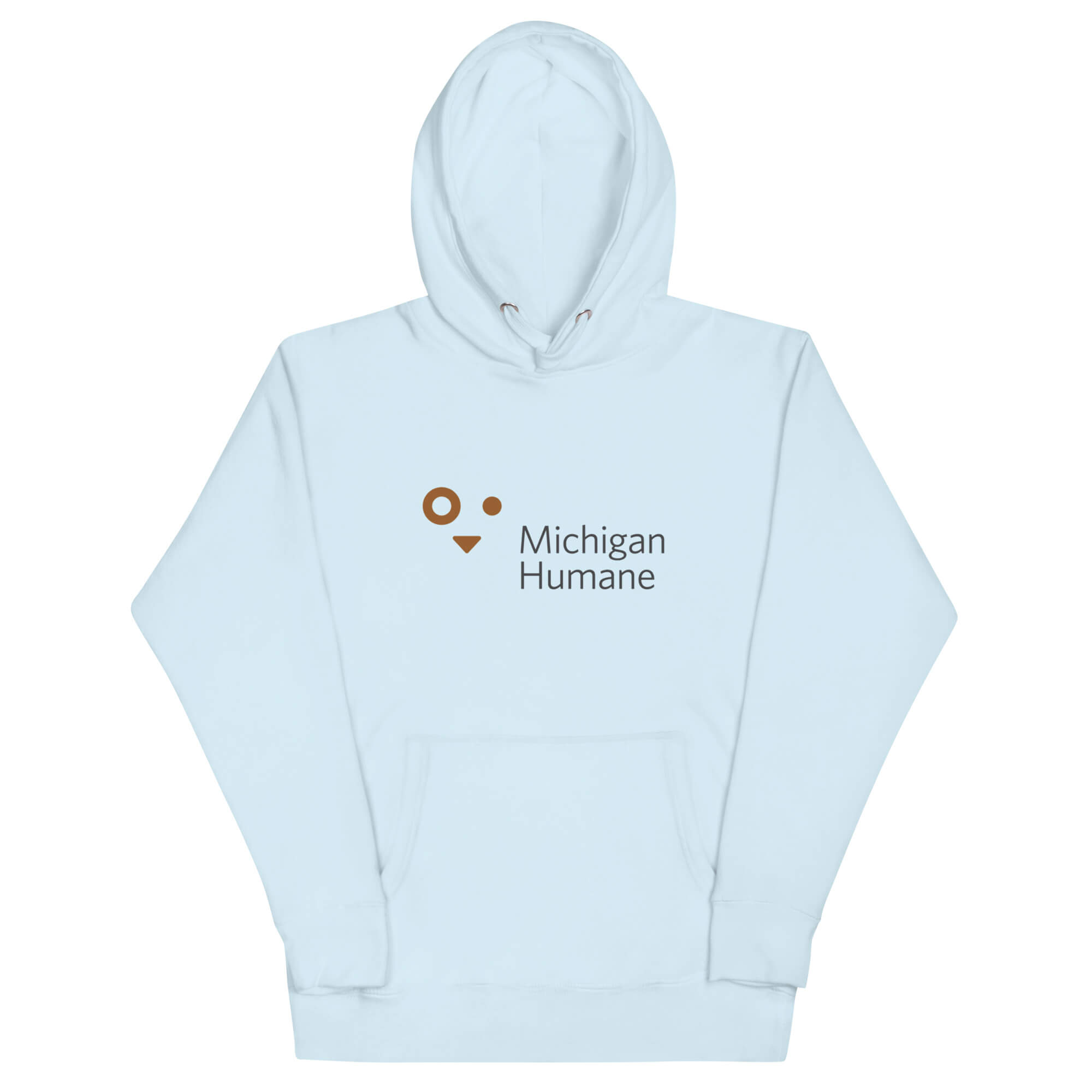 unisex-premium-hoodie-sky-blue-front-64763c7fae030.jpg
