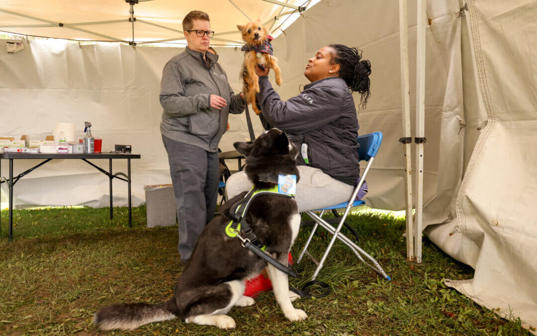 Palmer Park Low-Cost Vaccine Clinic