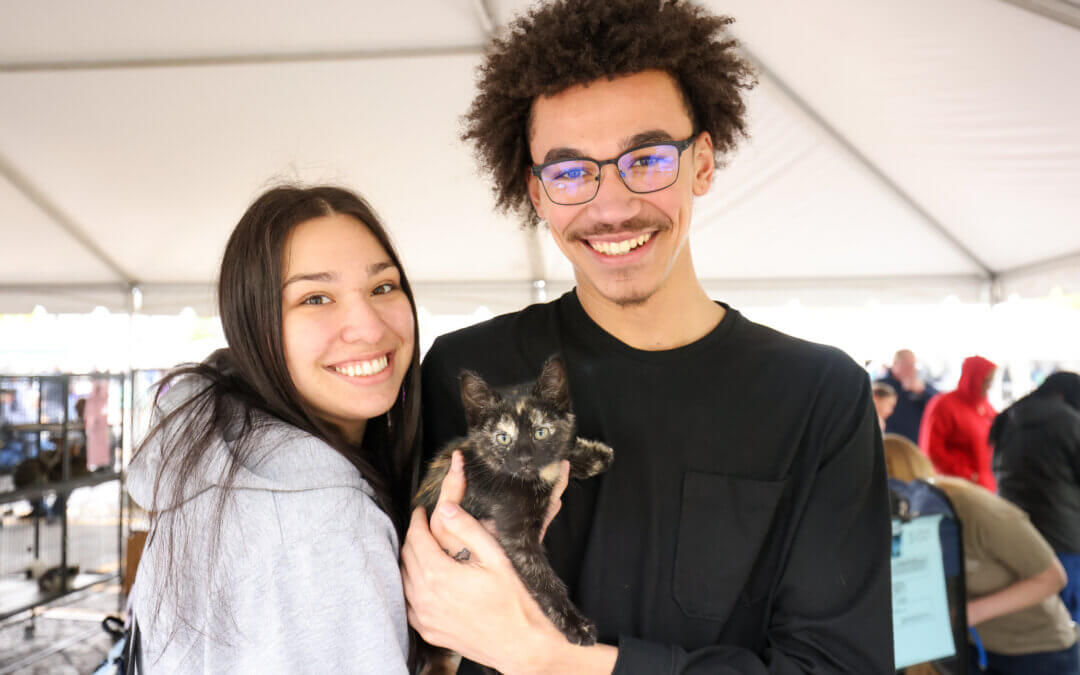 Michigan Humane Trivia